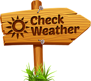 Check the local weather
